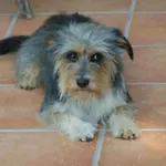 Al Pic De Corone Terzo d' Aquiléia