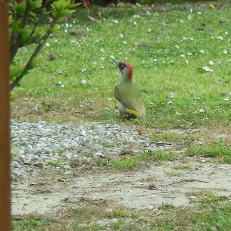 Al Pic De Corone Couette-café