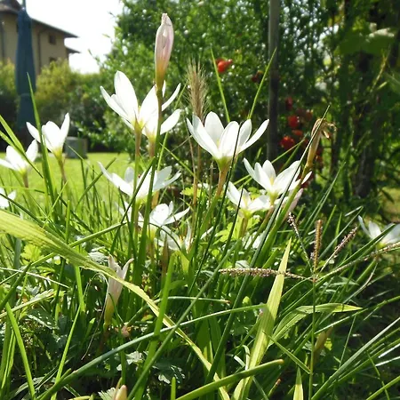 Couette-café Al Pic De Corone