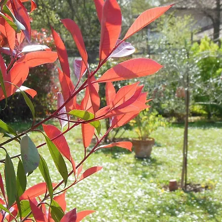 Al Pic De Corone Terzo d' Aquileia