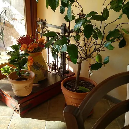 Bed & Breakfast Al Pic De Corone