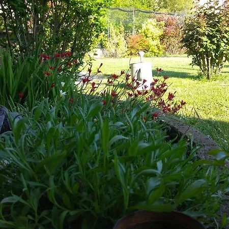 Al Pic De Corone Terzo d' Aquileia