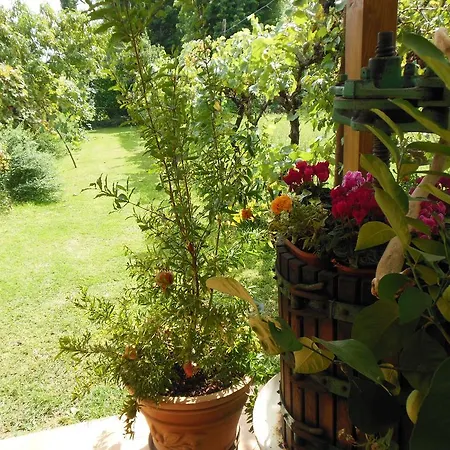 Bed & Breakfast Al Pic De Corone