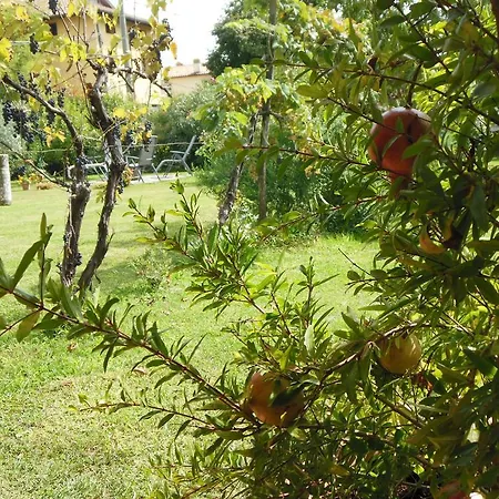 Bed and Breakfast Al Pic De Corone *